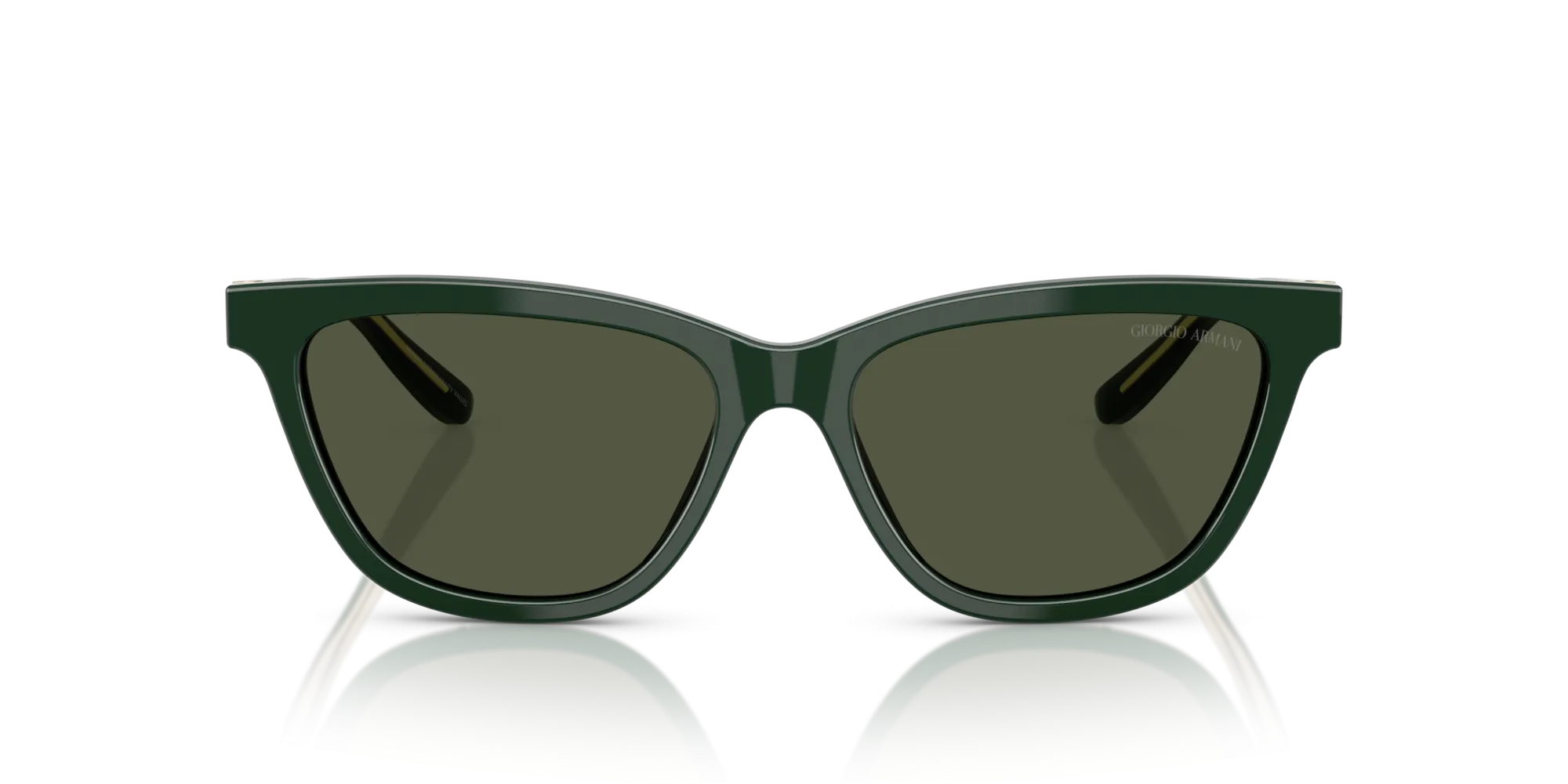 Giorgio Armani AR8221 617331