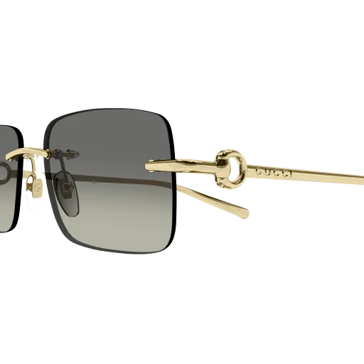 Gucci GG1703S 005