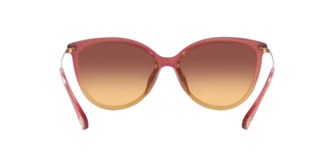 Michael Kors Dupont MK2184U 325678