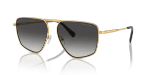 Michael Kors Silverton MK1153 18968G