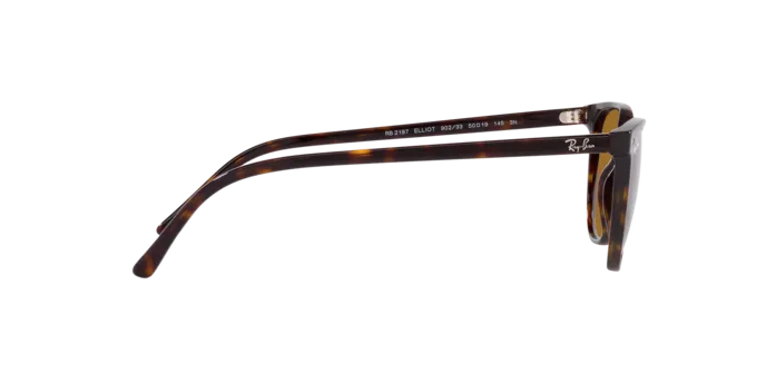 Ray-Ban Elliot RB2197 902/33
