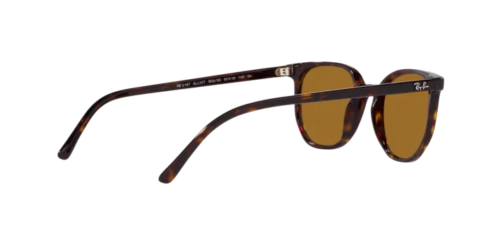 Ray-Ban Elliot RB2197 902/33