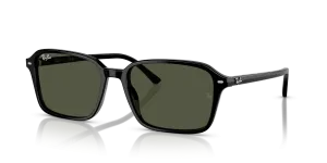 Ray-Ban Raimond RB2231 901/31