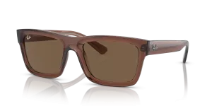 Ray-Ban Warren RB4396 667873