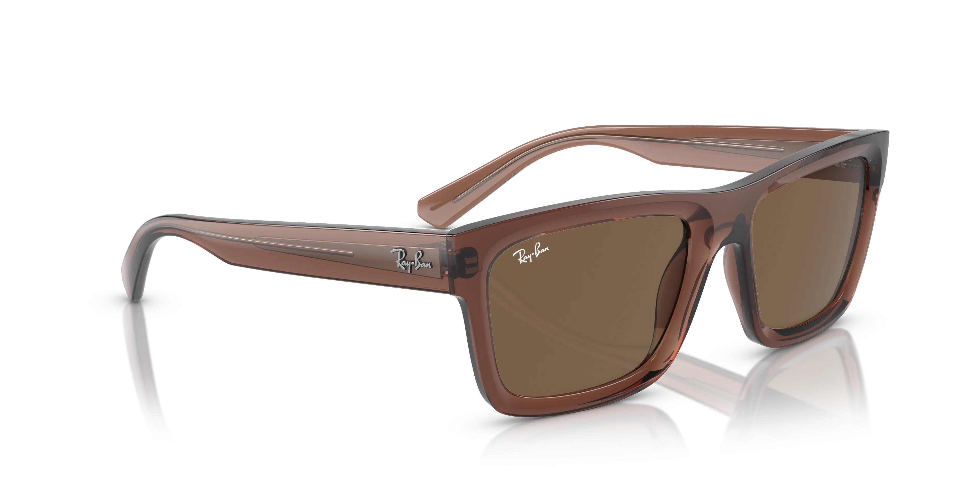 Ray-Ban Warren RB4396 667873