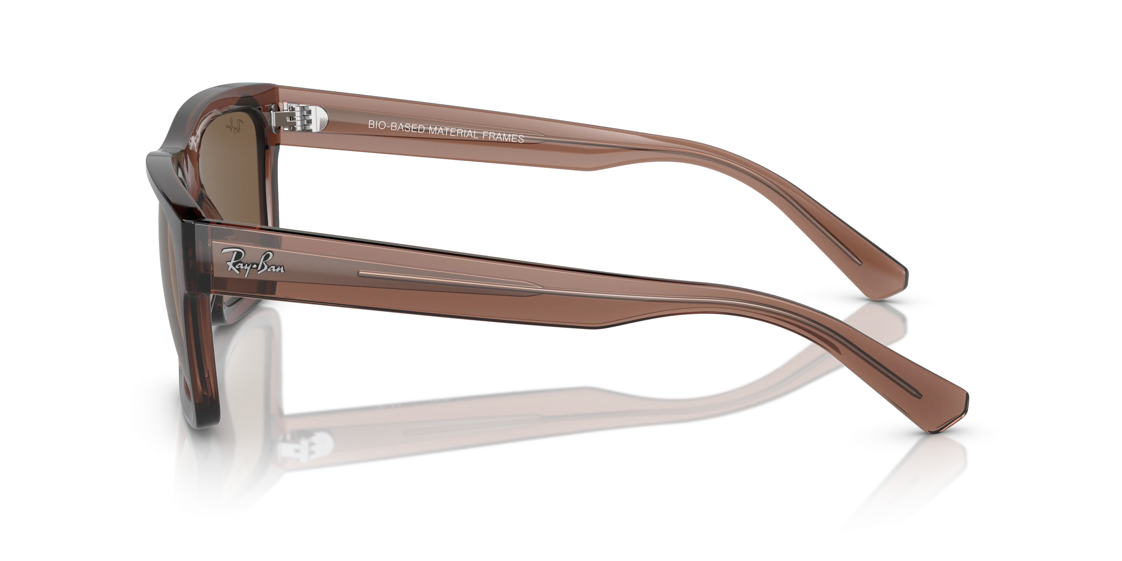 Ray-Ban Warren RB4396 667873