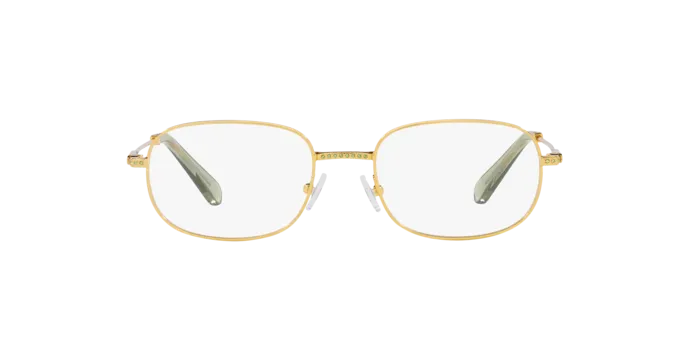 Swarovski SK1005 4004