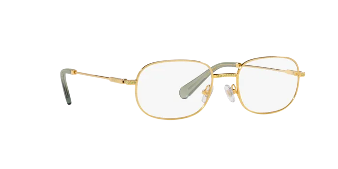 Swarovski SK1005 4004