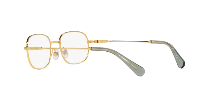 Swarovski SK1005 4004