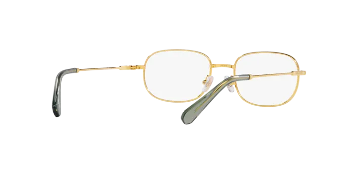 Swarovski SK1005 4004