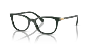 Swarovski SK2003 1026