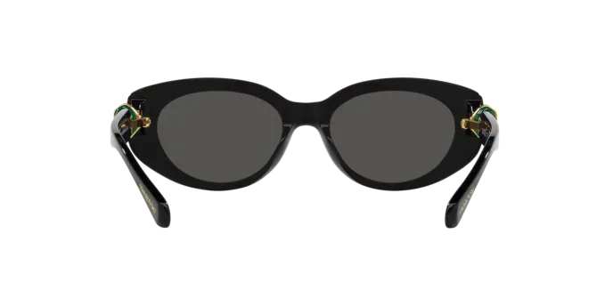Swarovski SK6002 100187