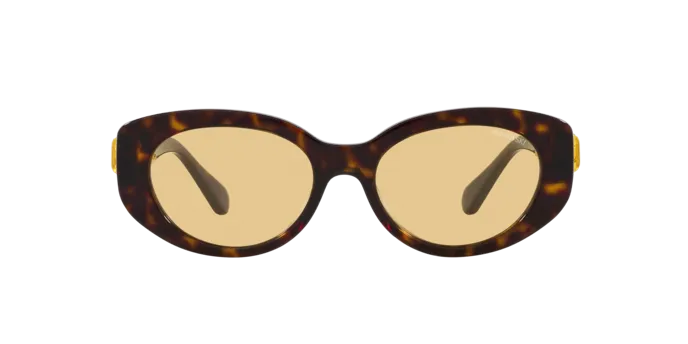 Swarovski SK6002 1002/8