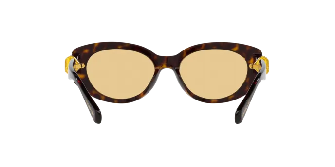 Swarovski SK6002 1002/8