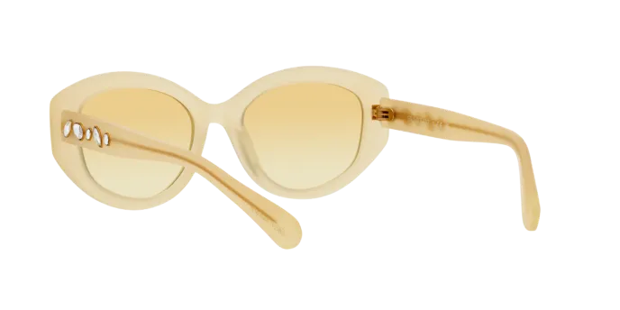 Swarovski SK6005 10232Q