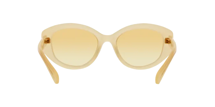 Swarovski SK6005 10232Q