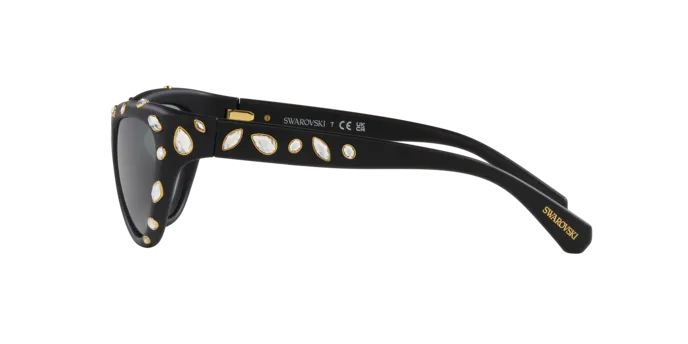 Swarovski SK6007 1020/1