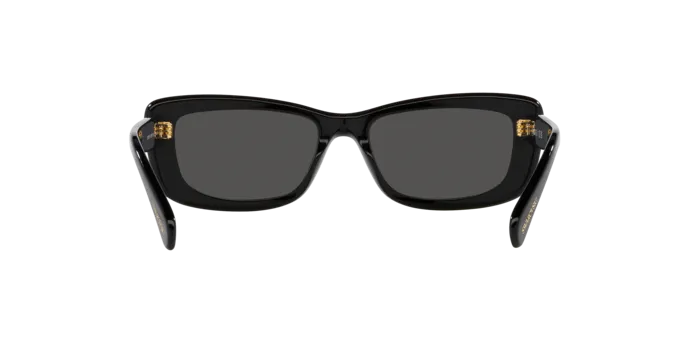 Swarovski SK6008 100187