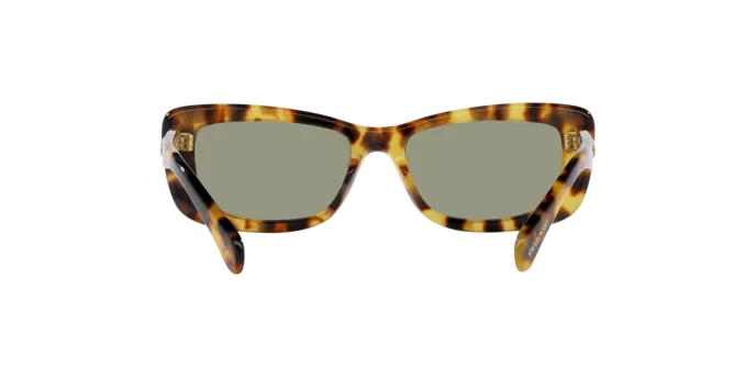Swarovski SK6008 1009/2