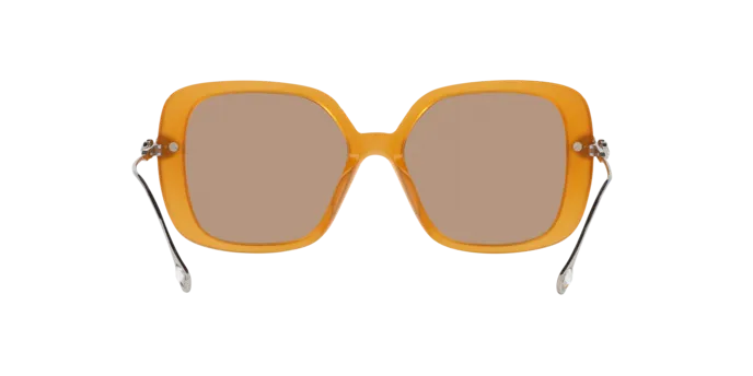 Swarovski SK6011 200563