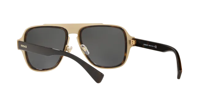 Versace VE2199 12524T