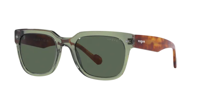 Vogue Eyewear VO5490S 282171