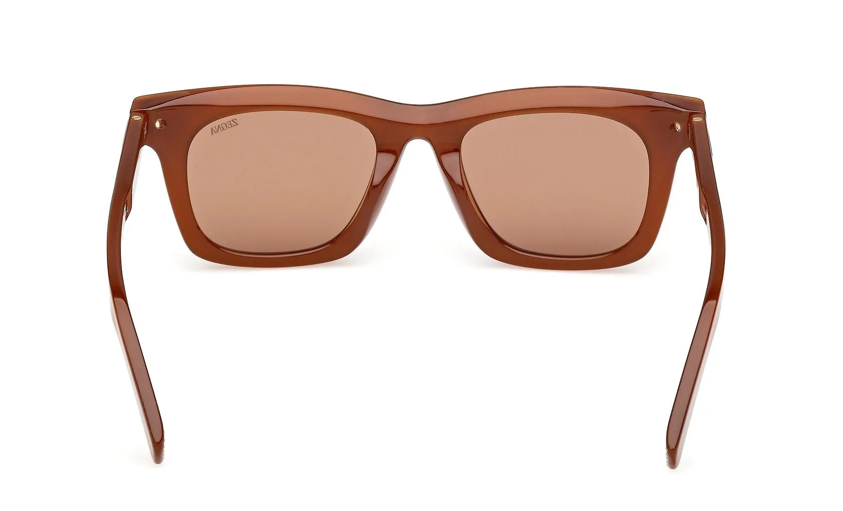 Zegna EZ0270 45E